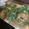 Wreath Making Class - Image 4