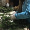 Wreath Making Class - Image 3